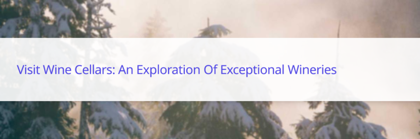 visite caves vin