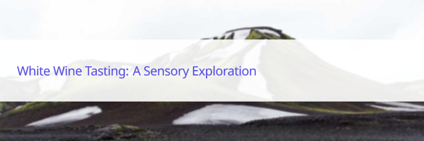 dégustation vins blancs